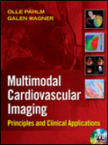 Cardiovascular multimodal image-guided diagnosis and therapy