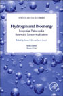 Hydrogen and Bioenergy: Integration Pathways for Renewable Energy Applications