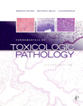 Fundamentals of toxicologic pathology