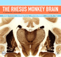 The rhesus monkey brain in stereotaxic coordinates