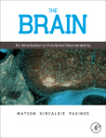 The brain: an introduction to functional neuroanatomy