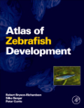 Atlas of zebrafish development