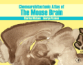 Chemoarchitectonic atlas of the mouse brain