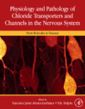 Physiology and pathology of chloride transportersand channels in the nervous system: from molecules to diseases