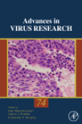 Natural and engineered resistance to plant viruses: part II