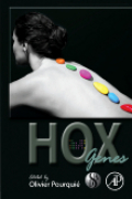 HOX genes v. 85