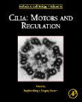 Cilia: motors and regulation