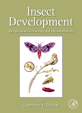 Insect development: morphogenesis, molting and metamorphosis