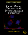 Cilia: model organisms and intraflagellar transport