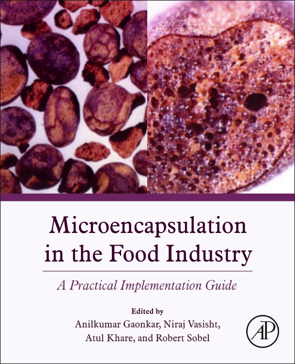 Microencapsulation in the Food Industry: A Practical Implementation Guide