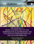 Rio-Hortegas Third Contribution to the Morphological Knowledge and Functional Interpretation of the Oligodendroglia