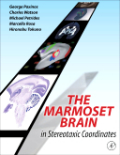 The marmoset brain in stereotaxic coordinates