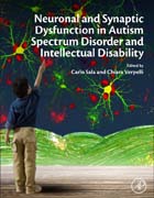 Synaptic Dysfunction in Autism Spectrum Disorder and Intellectual Disability
