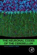 The Neuronal Codes of the Cerebellum