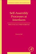 Self-Assembly Processes at Interfaces: Multiscale Phenomena