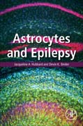 Astrocytes and Epilepsy