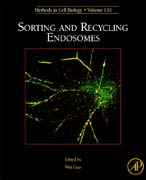 Sorting and Recycling Endosomes