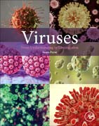 Viruses: From Understanding to Investigation