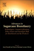Advances in Sugarcane Biorefinery: Technologies, Commercialization, Policy Issues and Paradigm Shift for Bioethanol and By-Products