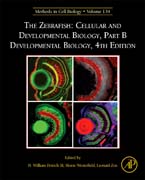 The Zebrafish: Cellular and Developmental Biology Part B