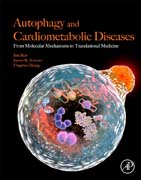 Autophagy and Cardiometabolic Diseases: From Molecules to Medicine