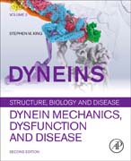 Dyneins: Dynein Mechanics, Dysfunction, and Disease
