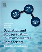 Ozonation and Biodegradation in Environmental Engineering: Dynamic Neural Network Approach