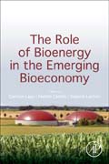 The Role of Bioenergy in the Bioeconomy: Resources, Technologies, Sustainability and Policy