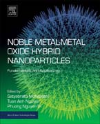 Noble Metal-Metal Oxide Hybrid Nanoparticles: Fundamentals and Applications