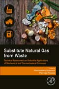 Substitute Natural Gas from Waste: Technical Assessment and Industrial Applications of Biochemical and Thermochemical Processes