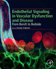 Endothelial Signalling in Vascular Dysfunction and Disease: From Bench to Bedside
