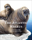 The Atlantic Walrus: Biological, Historical, and Indigenous Insights into Species-Human Interactions
