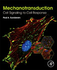 Mechanotransduction: Cell Signaling to Cell Response