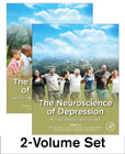 The Neuroscience of Depression