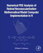 Numerical PDE Analysis of Retinal Neovascularization Mathematical Model Computer Implementation in R