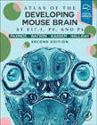 Atlas of the Developing Mouse Brain