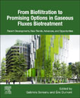 From Biofiltration to Promising Options in Gaseous Fluxes Biotreatment: Recent Developments, New Trends, Advances, and Opportunities