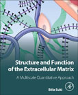 Structure and Function of the Extracellular Matrix: A Multiscale Quantitative Approach