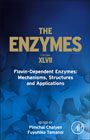 Flavin-Dependent Enzymes