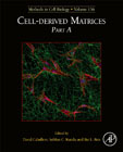 Cell-derived Matrices Part A