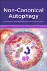 Non-Canonical Autophagy: Mechanisms and Pathophysiological Implications