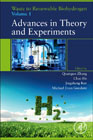 Waste to Renewable Biohydrogen: Volume 1: Advances in Theory and Experiments