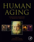 Human Aging: From Cellular Mechanisms to Therapeutic Strategies