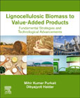 Lignocellulosic Biomass to Value-Added Products: Fundamental Strategies and Technological Advancements