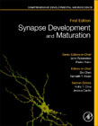 Synapse Development and Maturation: Comprehensive Developmental Neuroscience