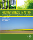 Photosynthesis in Action: Harvesting Light, Generating Electrons, Fixing Carbon