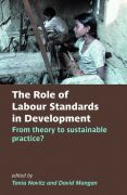 The role of labour standards in development: theory in practice