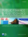 Public finance and public choice: analytical perspectives