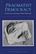Pragmatist governance: re-imagining institutions and democracy