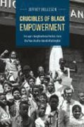 Crucibles of Black Empowerment - Chicago´s Neighborhood Politics from the New Deal to Harold Washington